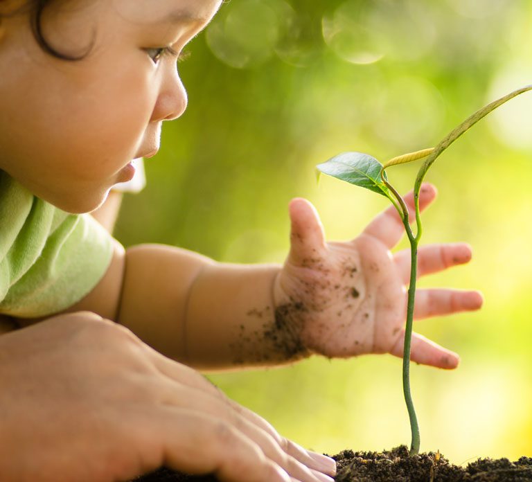 toddler reaching for small plant growing out of soil with adult's hand guiding them