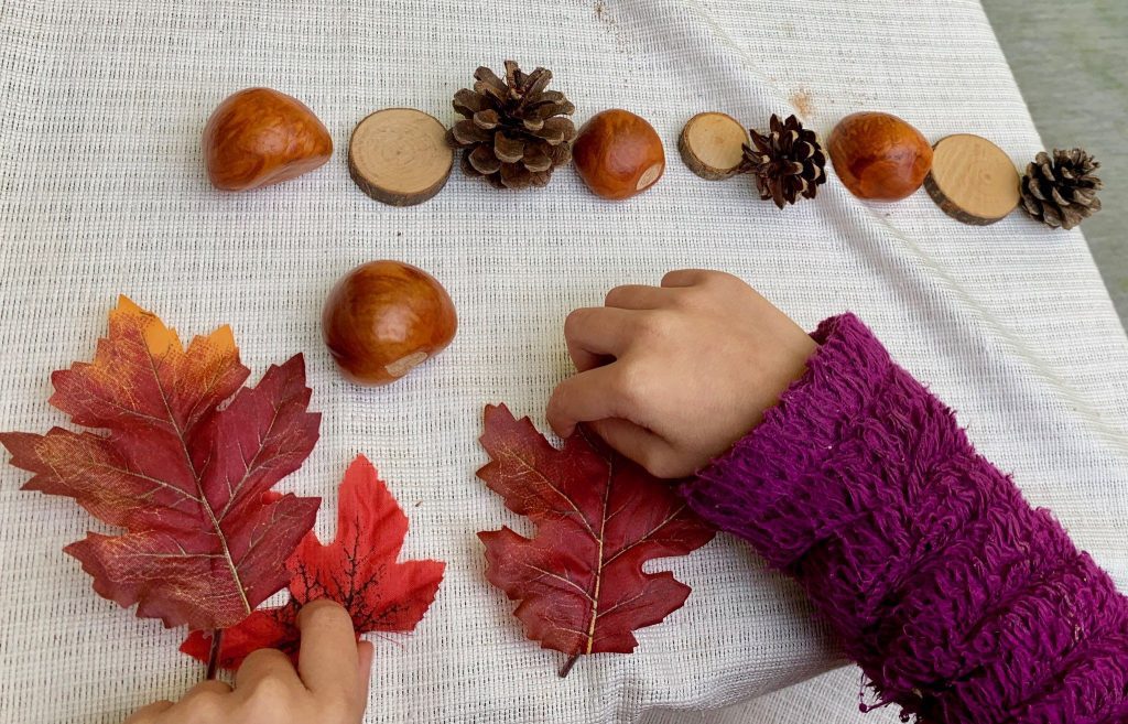child making patterns out of leaves, acorns, and pinecones