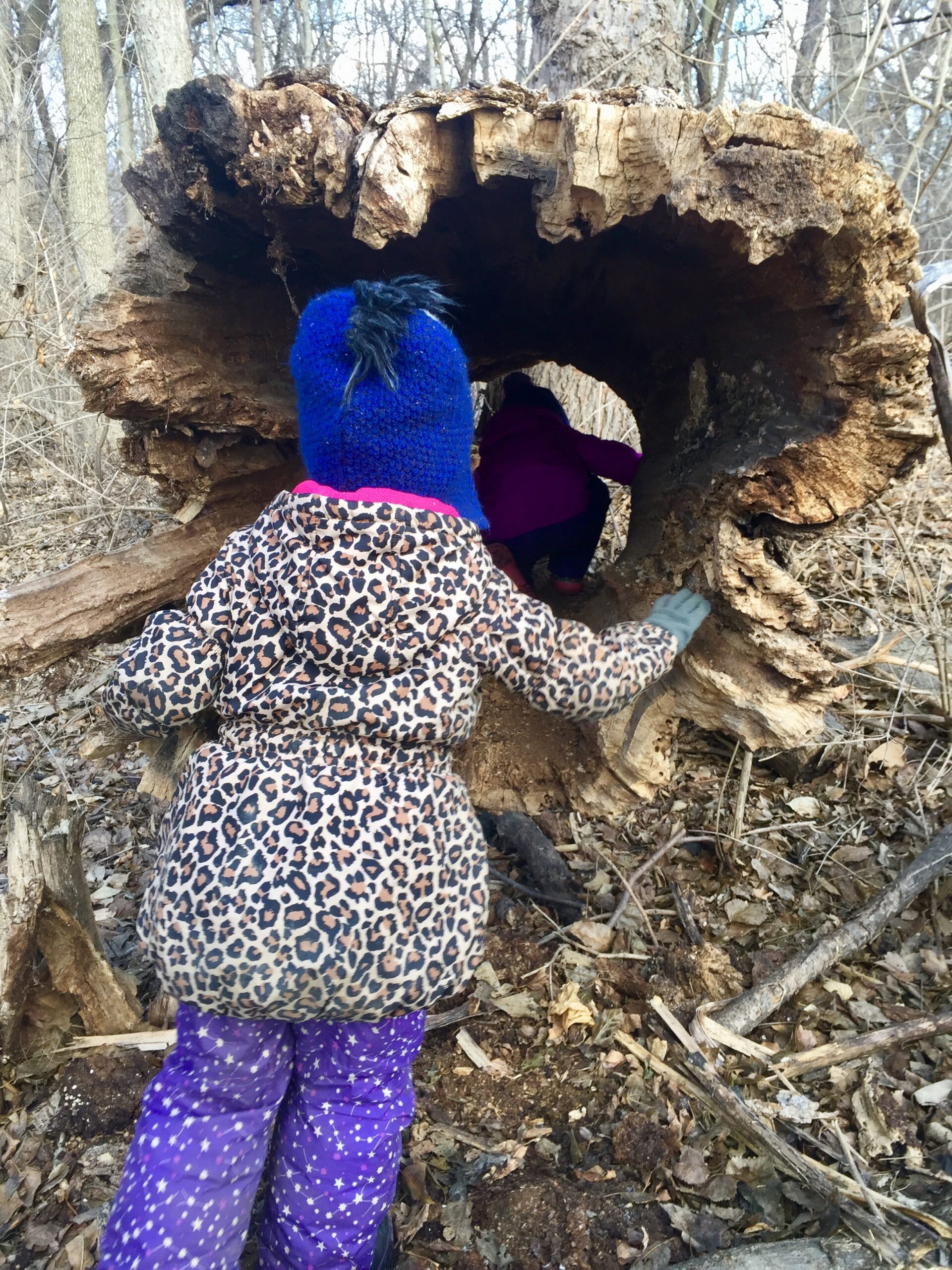 two children explore a large hollow log