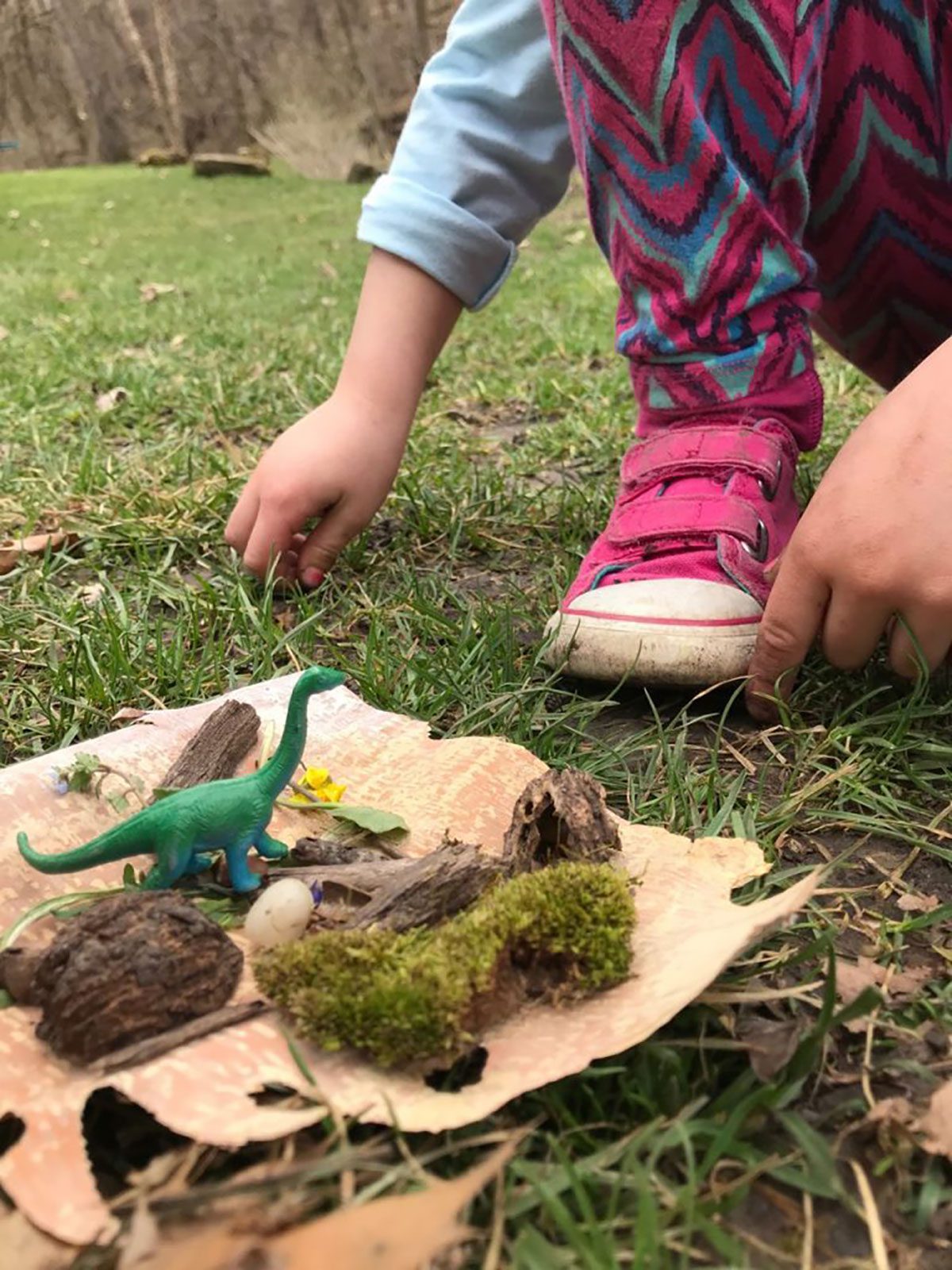 child playing with toy dinosaur and nature objects