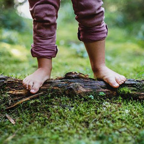 child standing on log